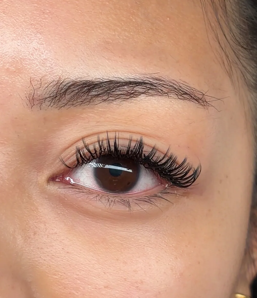 Evening lash set with an elongated outer corner