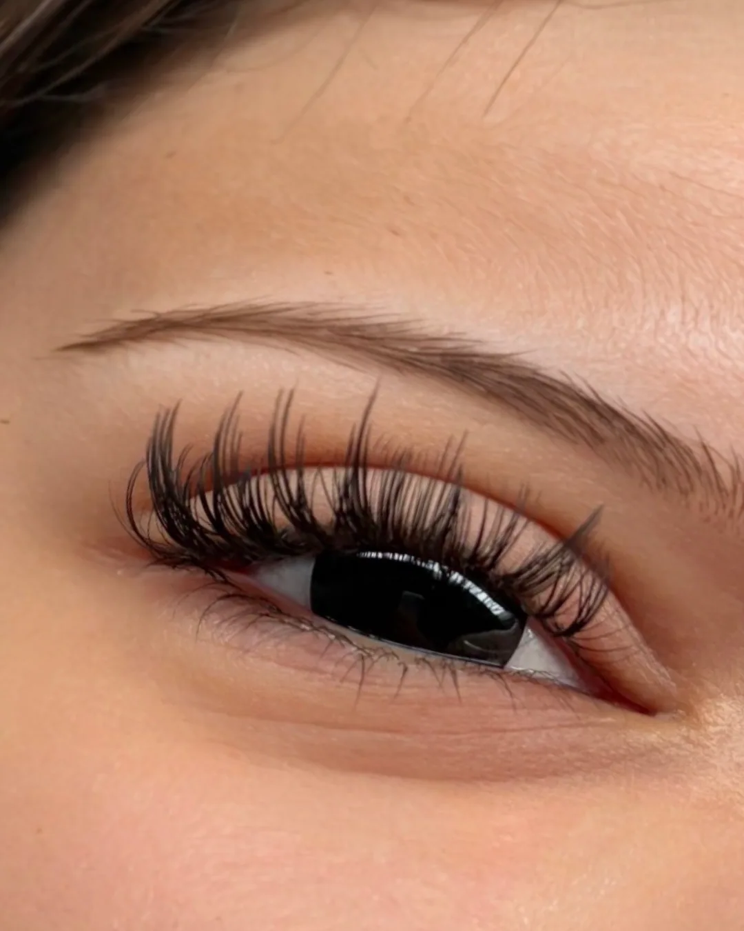 Royal lash set